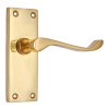 "Amminadab" Brass Door Handle with Plate